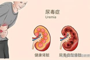 开云官网入口下载手机版苹果截图4